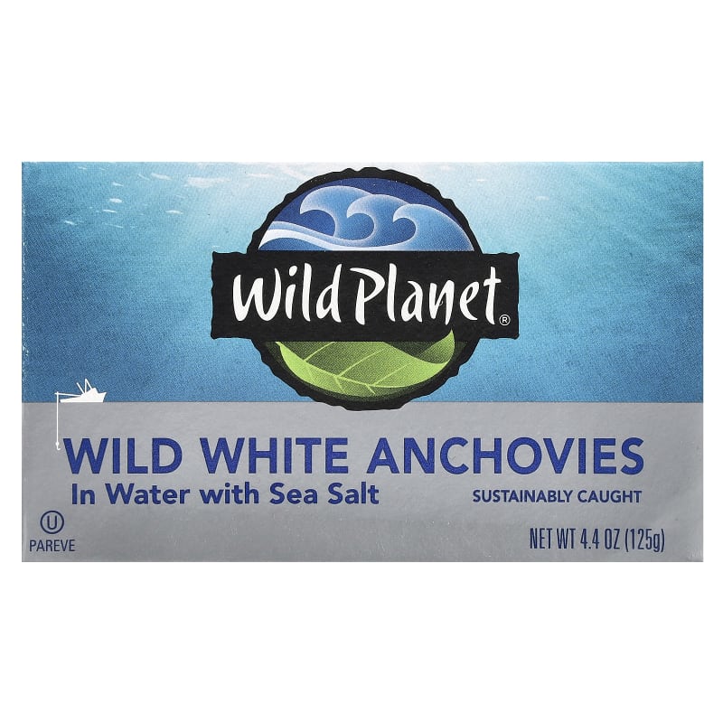 Wild White Anchovies In Water with Sea Salt